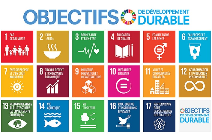 17 objectifs de développement durable