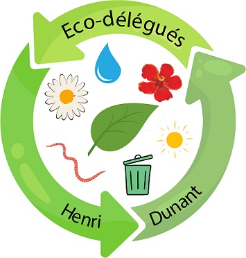 csti - ecolysciences - henri dunand ecoldelegué