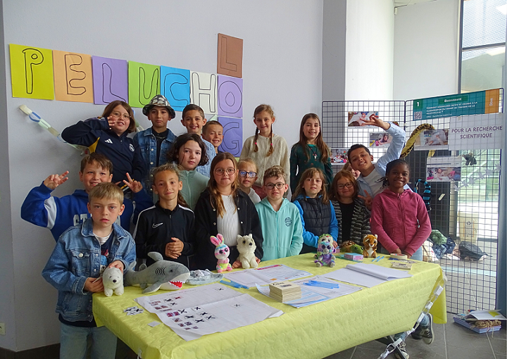 csti - ecoly 2025 ecole