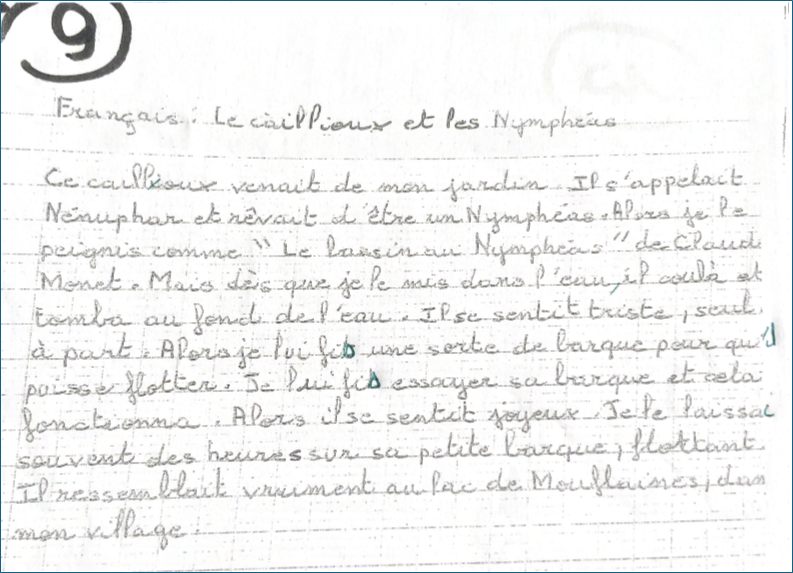 Exercice de français : "Le caillou et les nymphéas"