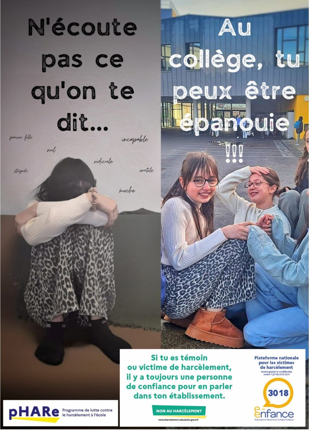 Affiche NAH Collège Maupas Vire