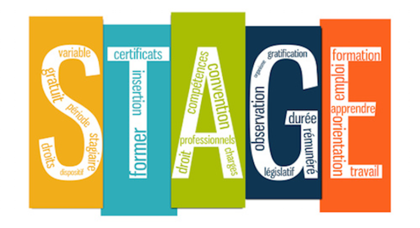 Période de formation en milieu professionnel (PFMP) réalisée à l