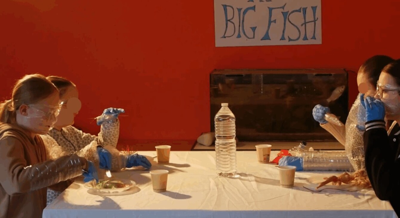 Classes lauréates du concours « Arts en plastiques pour l’océan 2025 » 