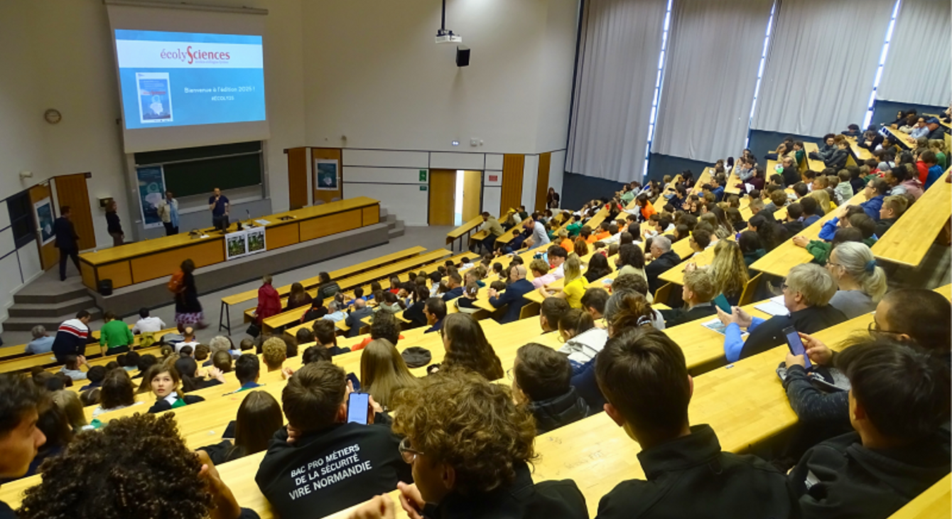 csti - ecoly 2025 amphi