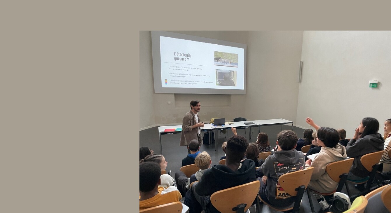 csti Rencontre avec un expert.jpg