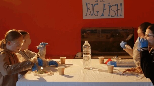 Classes lauréates du concours « Arts en plastiques pour l’océan 2025 » 